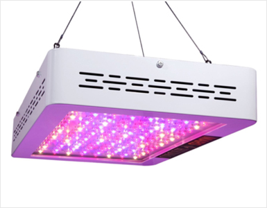 Specialty Lights